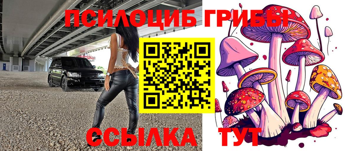 Галлюциногенные грибы мицелий  Вход с VPN  Усть-Кут 