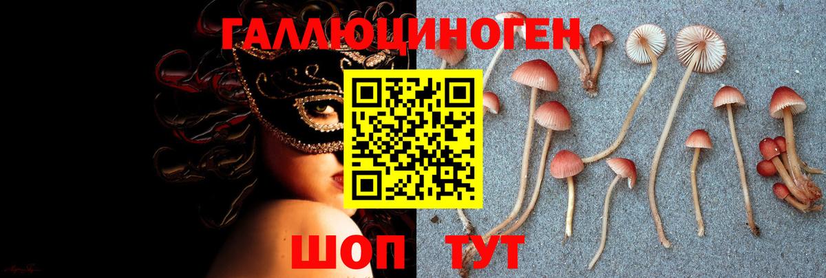 Галлюциногенные грибы Cubensis Усть-Кут
