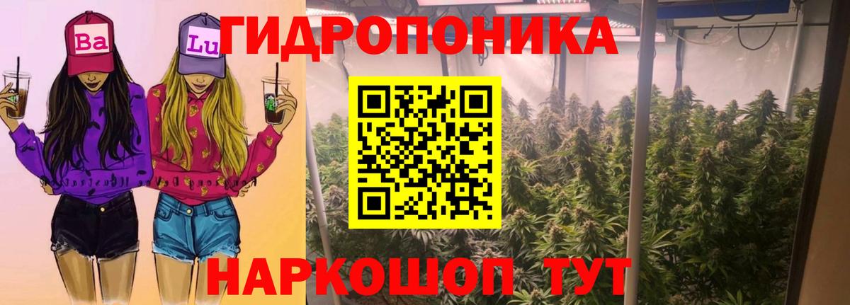Усть-Кут  Бошки марихуана марихуана  Шишки марихуана OG Kush  Вход с VPN  Марихуана ГИДРОПОН 